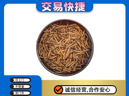舟山嵊泗县回收散虫草